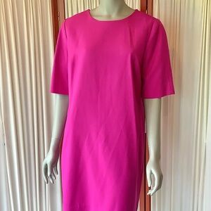 GAP Womens Shift Dress Hot Pink Exposed Zipper in Back Size 14
